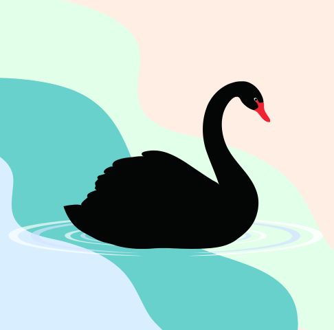“Black Swan” is a term coined by Nassim Nicholas Taleb about extremely rare or improbable events that are virtually impossible to predict and have a major market impact.