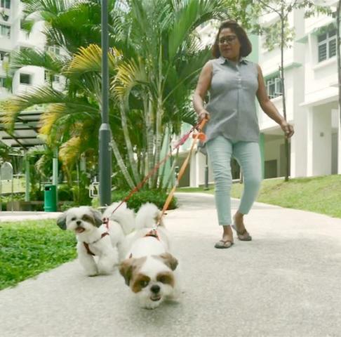 Cancer survivor Patricia walking her pet dogs 