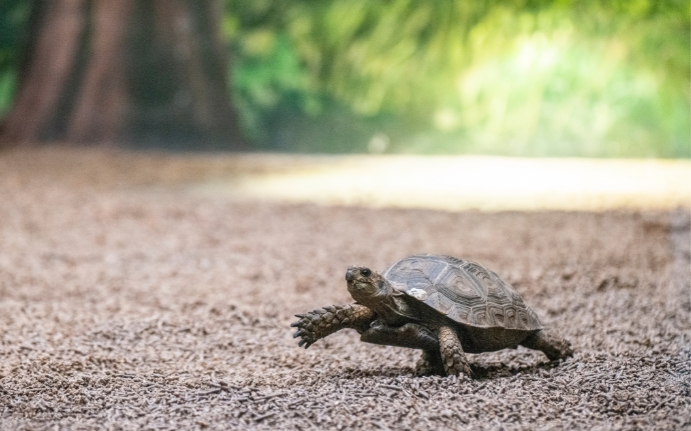 Choosing a medical insurance plan can feel harder than a 10km hike.