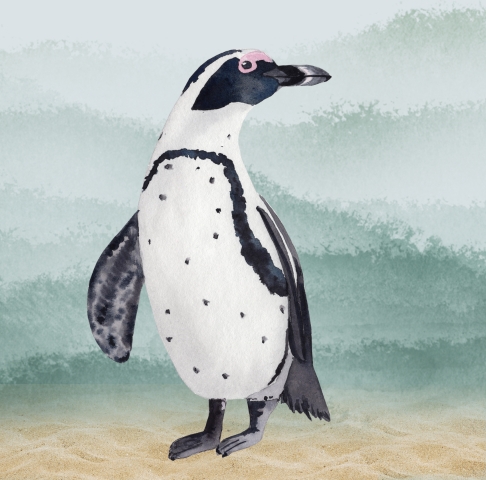 We often look to experts for parenting advice, but nature has plenty to offer too. From loyalty to teamwork, here’s what African penguins can teach us about raising a family.