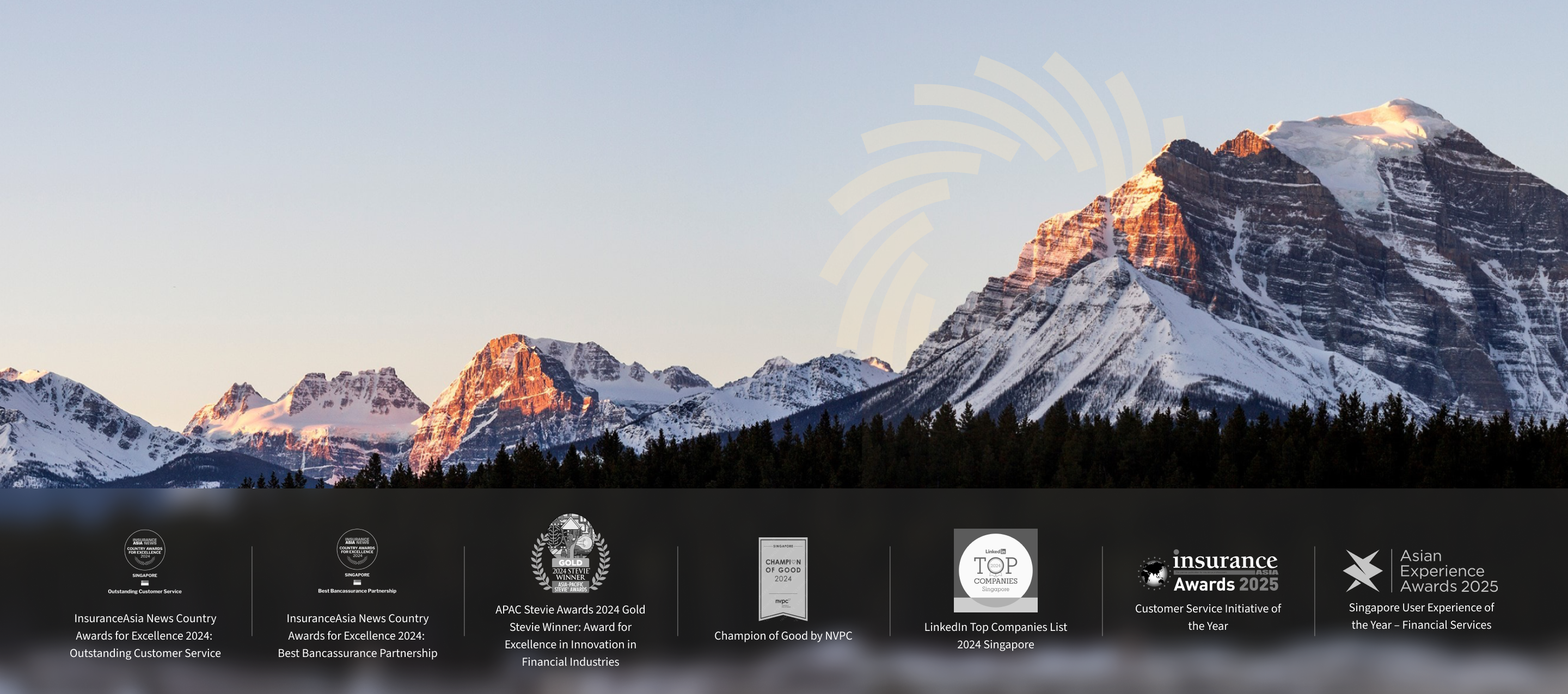 Pinnacle Banner