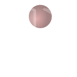 CD Icon