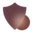 Shield icon