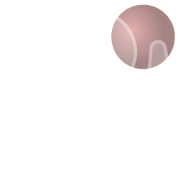 Swap Icon