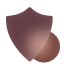 Shield icon